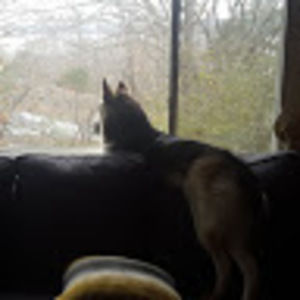 Meet your Posher, Mac